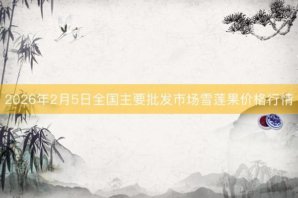 2026年2月5日全国主要批发市场雪莲果价格行情