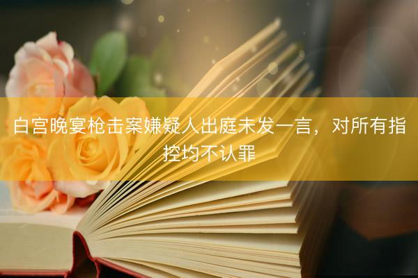 白宫晚宴枪击案嫌疑人出庭未发一言，对所有指控均不认罪