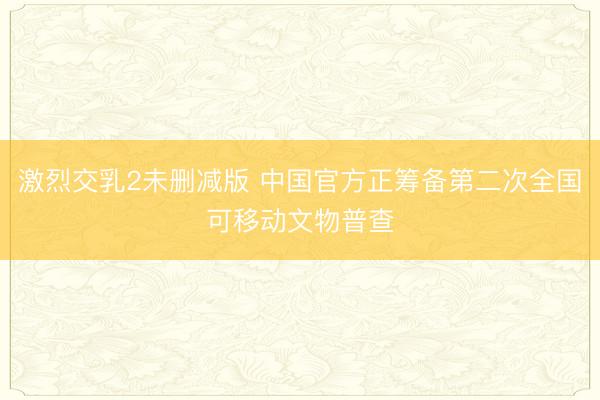 激烈交乳2未删减版 中国官方正筹备第二次全国可移动文物普查