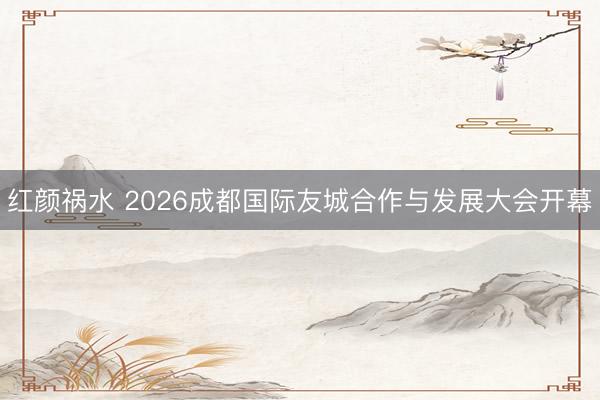红颜祸水 2026成都国际友城合作与发展大会开幕