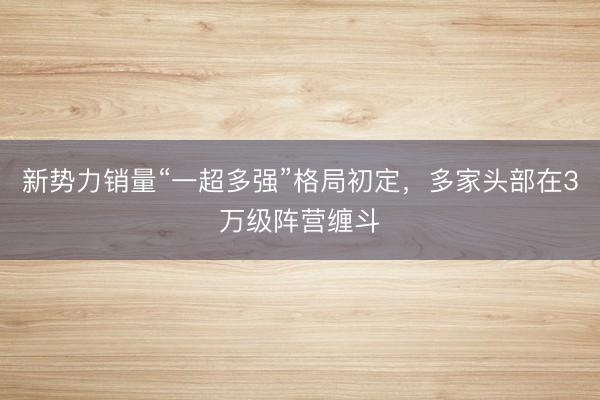 新势力销量“一超多强”格局初定，多家头部在3万级阵营缠斗