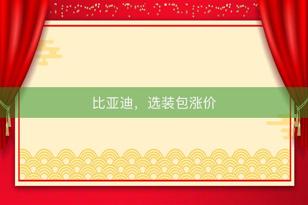 比亚迪，选装包涨价
