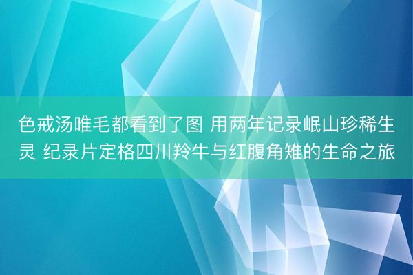 色戒汤唯毛都看到了图 用两年记录岷山珍稀生灵 纪录片定格四川羚牛与红腹角雉的生命之旅