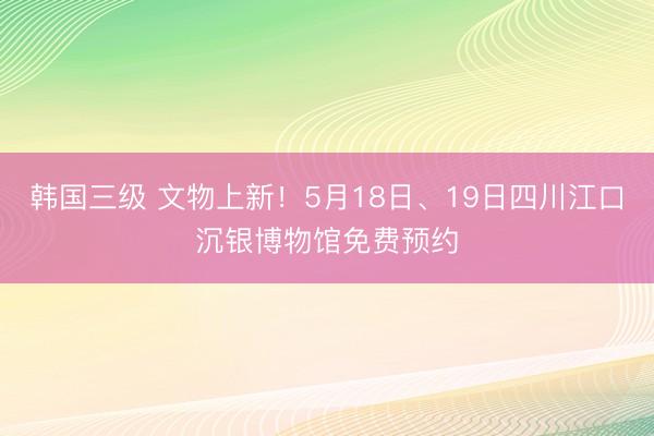 韩国三级 文物上新！5月18日、19日四川江口沉银博物馆免费预约