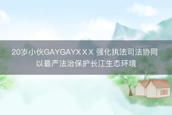 20岁小伙GAYGAYXⅩX 强化执法司法协同 以最严法治保护长江生态环境
