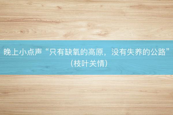 晚上小点声 “只有缺氧的高原，没有失养的公路”（枝叶关情）