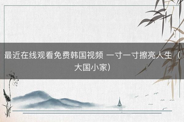 最近在线观看免费韩国视频 一寸一寸擦亮人生（大国小家）
