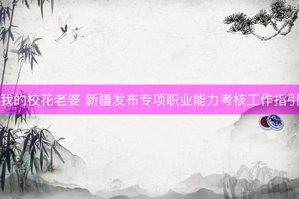 我的校花老婆 新疆发布专项职业能力考核工作指引