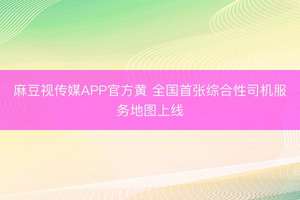 麻豆视传媒APP官方黄 全国首张综合性司机服务地图上线