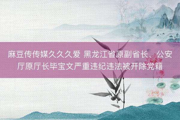 麻豆传传媒久久久爱 黑龙江省原副省长、公安厅原厅长毕宝文严重违纪违法被开除党籍