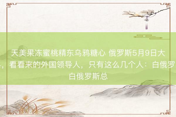 天美果冻蜜桃精东乌鸦糖心 俄罗斯5月9日大阅兵，看看来的外国领导人，只有这么几个人：白俄罗斯总