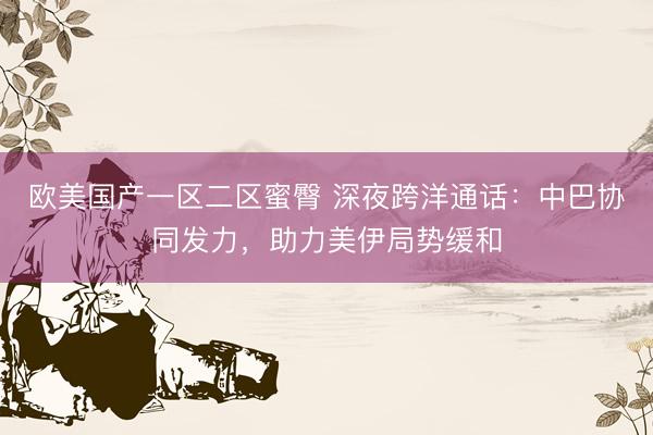 欧美国产一区二区蜜臀 深夜跨洋通话：中巴协同发力，助力美伊局势缓和