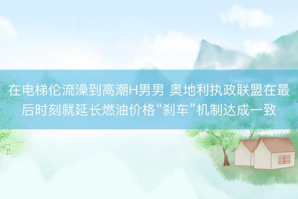 在电梯伦流澡到高潮H男男 奥地利执政联盟在最后时刻就延长燃油价格“刹车”机制达成一致