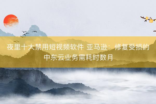 夜里十大禁用短视频软件 亚马逊：修复受损的中东云业务需耗时数月