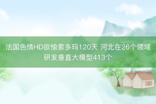 法国色情HD欲愉索多玛120天 河北在26个领域研发垂直大模型413个