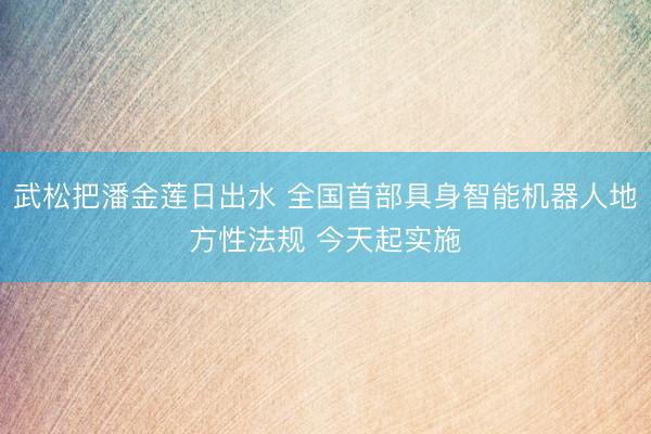 武松把潘金莲日出水 全国首部具身智能机器人地方性法规 今天起实施
