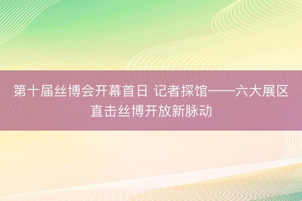 第十届丝博会开幕首日 记者探馆——六大展区直击丝博开放新脉动