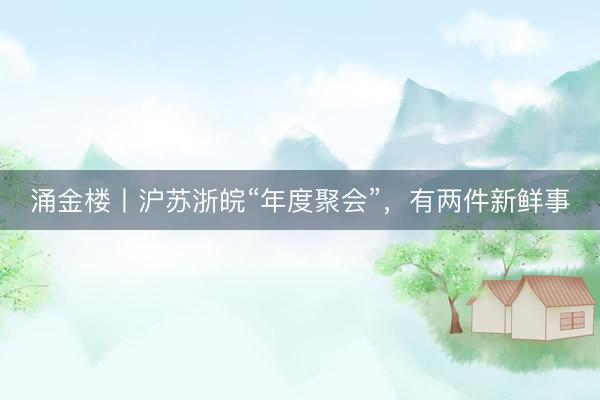 涌金楼丨沪苏浙皖“年度聚会”，有两件新鲜事