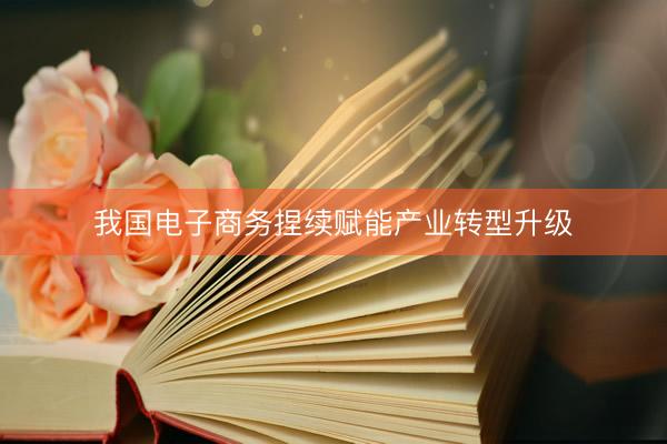 我国电子商务捏续赋能产业转型升级