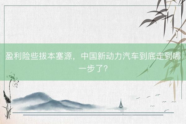 盈利险些拔本塞源，中国新动力汽车到底走到哪一步了？