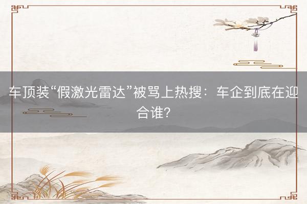 车顶装“假激光雷达”被骂上热搜:车企到底在迎合谁?