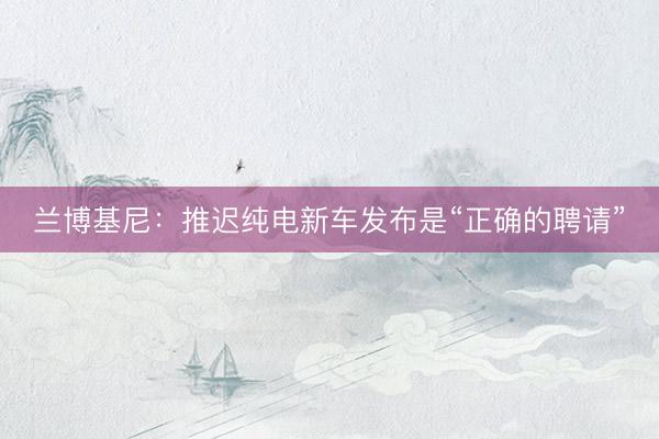 兰博基尼：推迟纯电新车发布是“正确的聘请”