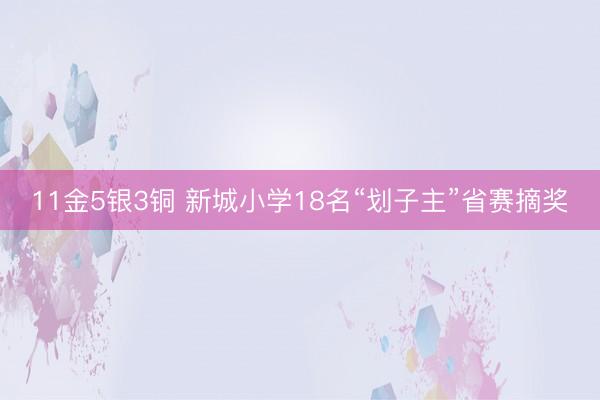 11金5银3铜 新城小学18名“划子主”省赛摘奖