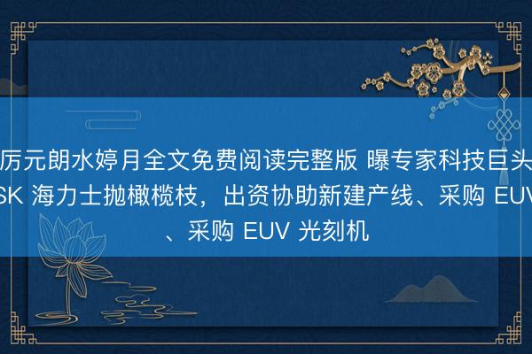 厉元朗水婷月全文免费阅读完整版 曝专家科技巨头争相向 SK 海力士抛橄榄枝，出资协助新建产线、采购 EUV 光刻机