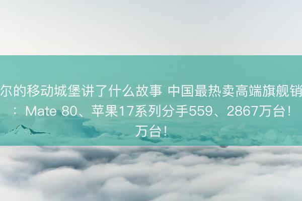 哈尔的移动城堡讲了什么故事 中国最热卖高端旗舰销量：Mate 80、苹果17系列分手559、2867万台！