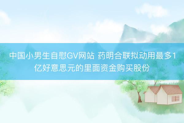 中国小男生自慰GV网站 药明合联拟动用最多1亿好意思元的里面资金购买股份