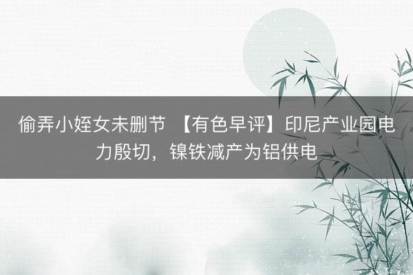 偷弄小姪女未删节 【有色早评】印尼产业园电力殷切，镍铁减产为铝供电