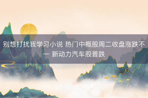 别想打扰我学习小说 热门中概股周二收盘涨跌不一 新动力汽车股普跌