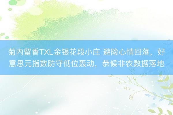 菊内留香TXL金银花段小庄 避险心情回落，好意思元指数防守低位轰动，恭候非农数据落地