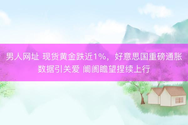 男人网址 现货黄金跌近1%，好意思国重磅通胀数据引关爱 阛阓瞻望捏续上行