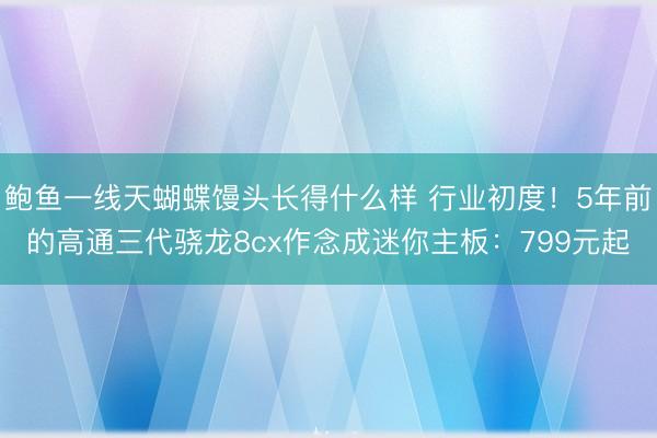 鲍鱼一线天蝴蝶馒头长得什么样 行业初度！5年前的高通三代骁龙8cx作念成迷你主板：799元起