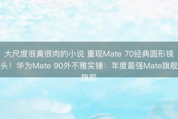 大尺度很黄很肉的小说 重现Mate 70经典圆形镜头！华为Mate 90外不雅实锤：年度最强Mate旗舰