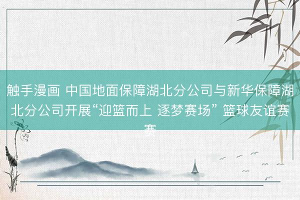 触手漫画 中国地面保障湖北分公司与新华保障湖北分公司开展“迎篮而上 逐梦赛场” 篮球友谊赛
