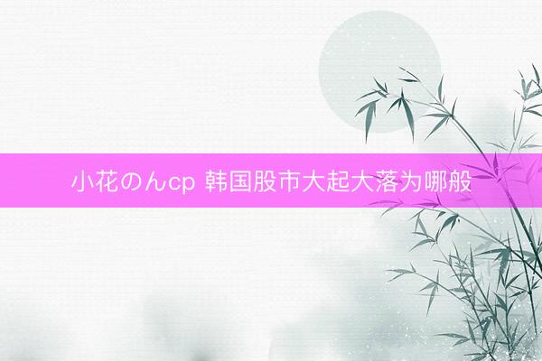 小花のんcp 韩国股市大起大落为哪般