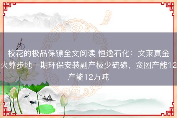 校花的极品保镖全文阅读 恒逸石化：文莱真金不怕火葬步地一期环保安装副产极少硫磺，贪图产能12万吨