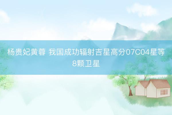 杨贵妃黄蓉 我国成功辐射吉星高分07C04星等8颗卫星