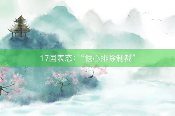 17国表态：“惬心排除制裁”