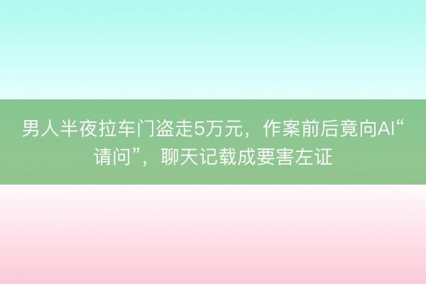 男人半夜拉车门盗走5万元，作案前后竟向AI“请问”，聊天记载成要害左证
