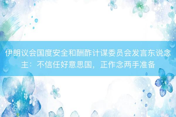 伊朗议会国度安全和酬酢计谋委员会发言东说念主：不信任好意思国，正作念两手准备
